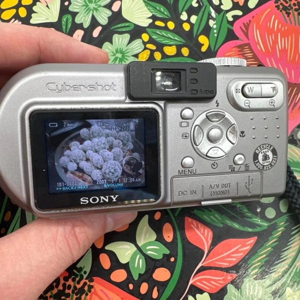 Sony sanyo vpc